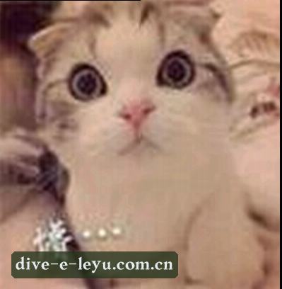 王磊